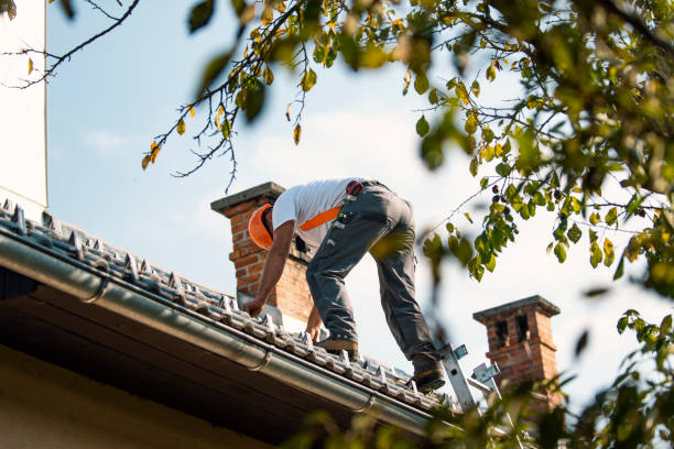 Best Roof Maintenance Services  in Yosemite Valley, CA